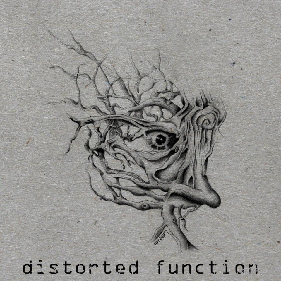 distorted function (logo)